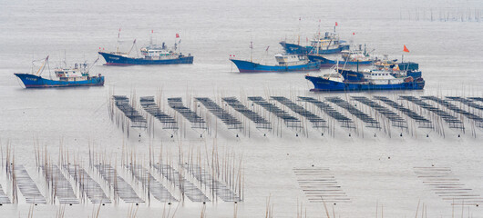 China Fujian Province Xiapu Dongbi. The racks of netting set up for seaweed growing create many patterns in the bay. © Danita Delimont