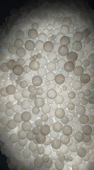Bubble wall background