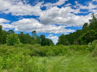 landscape with blue sky and clouds
