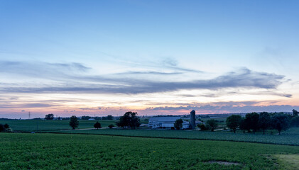 Fototapeta premium Lightning Bugs over Field