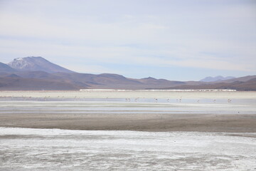 View of Laguna Colorada, Bolivia