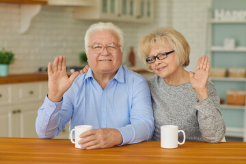 Happy senior couple waving hands and looking at camera while enjoying cup of tea sitting at table...