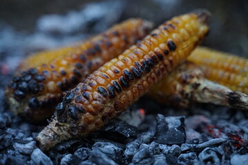 Ripe fresh corncob on open coal with smoke and ash. Vegetarian vegan barbecue over the fire...