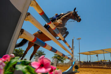 The bottom view on the rider on horse jumping over a hurdle during the equestrian event	
