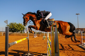 Rider on horse jumping over a hurdle during the equestrian event	
