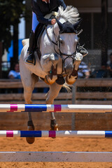 Rider on horse jumping over a hurdle during the equestrian event	
