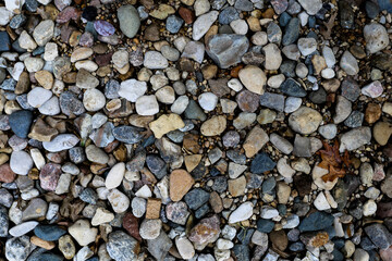 Garden Stones Background