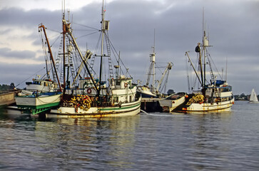 Fishing Boats