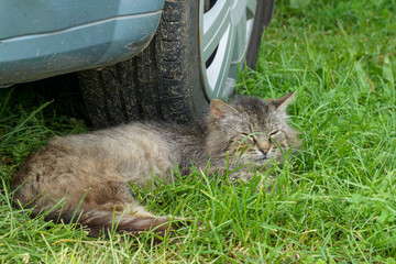Fototapety na wymiar - Fototapeta24.pl