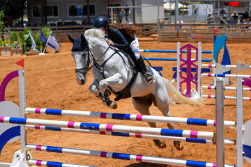 Rider on horse jumping over a hurdle during the equestrian event	
