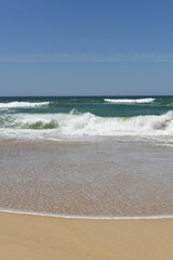 sandy beach under the sun