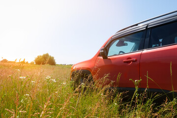 Red car parked in a field on a country road in green grass. Transport, travel concept