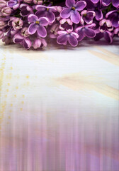 A blooming branch of lilacs. Lilac flowers on a light background. A bunch of lilac flowers.