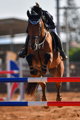 Rider on horse jumping over a hurdle during the equestrian event	
