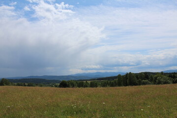 Meadow in the mountains