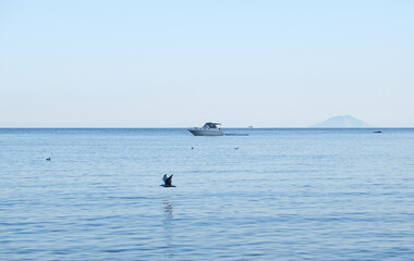 Obraz premium Calm blue sea with boat and seagull. High quality photo