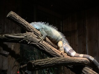 Tiere im Zoo Aschersleben (18)