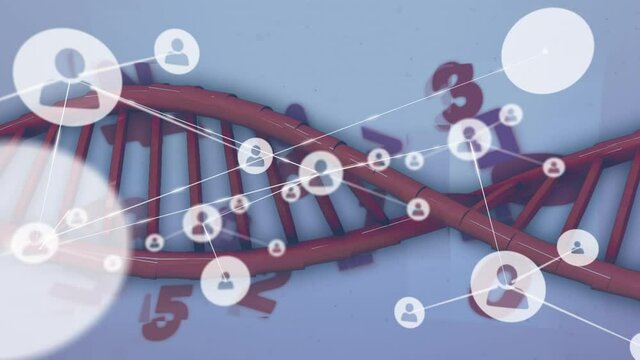 Animation of network of connections over dna code