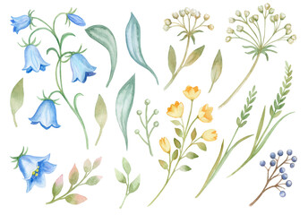 Fototapeta na wymiar Big set botanic blossom floral elements. Forest bells. Branches, leaves, herbs, wild plants, flowers. Garden, meadow, feild collection leaf, foliage, branches. Bloom watercolor illustration