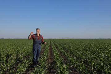 Farmer or agronomist examine corn plant field holding tablet and gesturing with fist up