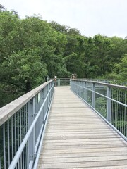 Der Baumwipfelpfad in Wernigerode (4)