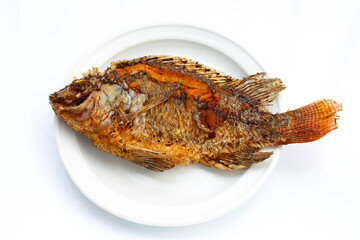 Fried fish in white plate on white background.