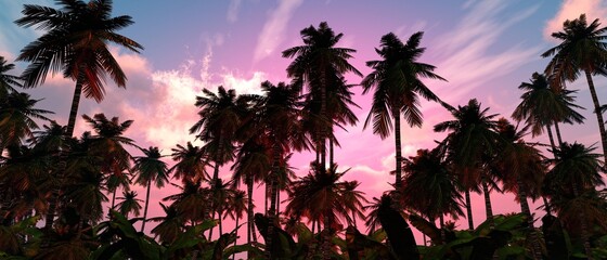 Fototapeta na wymiar Silhouettes of coconut trees on the background of a beautiful sky, palms and sky, 3D rendering