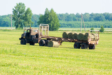 Loading hay into a car cart.