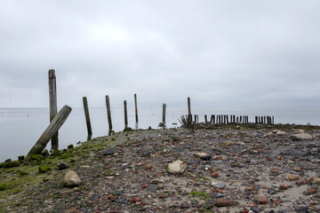 Weathered wooden posts and planks of a jetty in the harbor of De Cocksdorp on the Wadden island of Texel, The Netherlands.