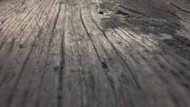 Old rough wood plank covered with dirt, soft selective focus.