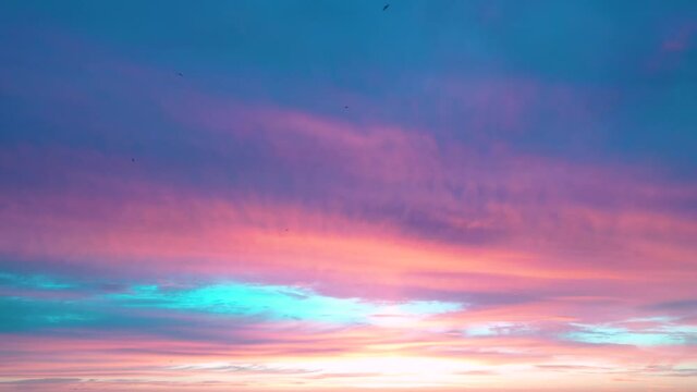 Wild birds flying over sunset or sunrise with orange sky. Sundown At Sunset. Natural sunset sky. Flying birds on a colorful sunset sky background