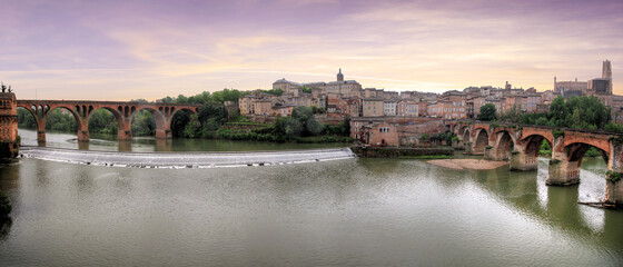Nice view of Albi in south of France  - 442990300