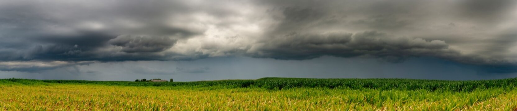 Dramatic view of a shelf cloud over a field, horizontal cloud formation, panorama view. © hajdar
