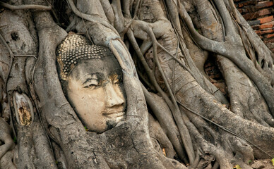 Buddha statue overgrown head, Ayutthaya, Thailand