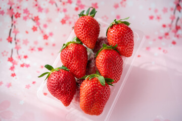 6個並んだいちご　ピンクの背景