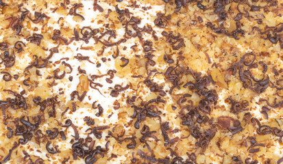 Closeup shot of a tasty chocolate cake