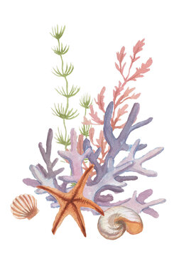 
 lighthouse jellyfish starfish  corals shells beach watercolor illustration hand drawn print textiles vintage retro.  set cartoon ocean realistic sketch sea travel
