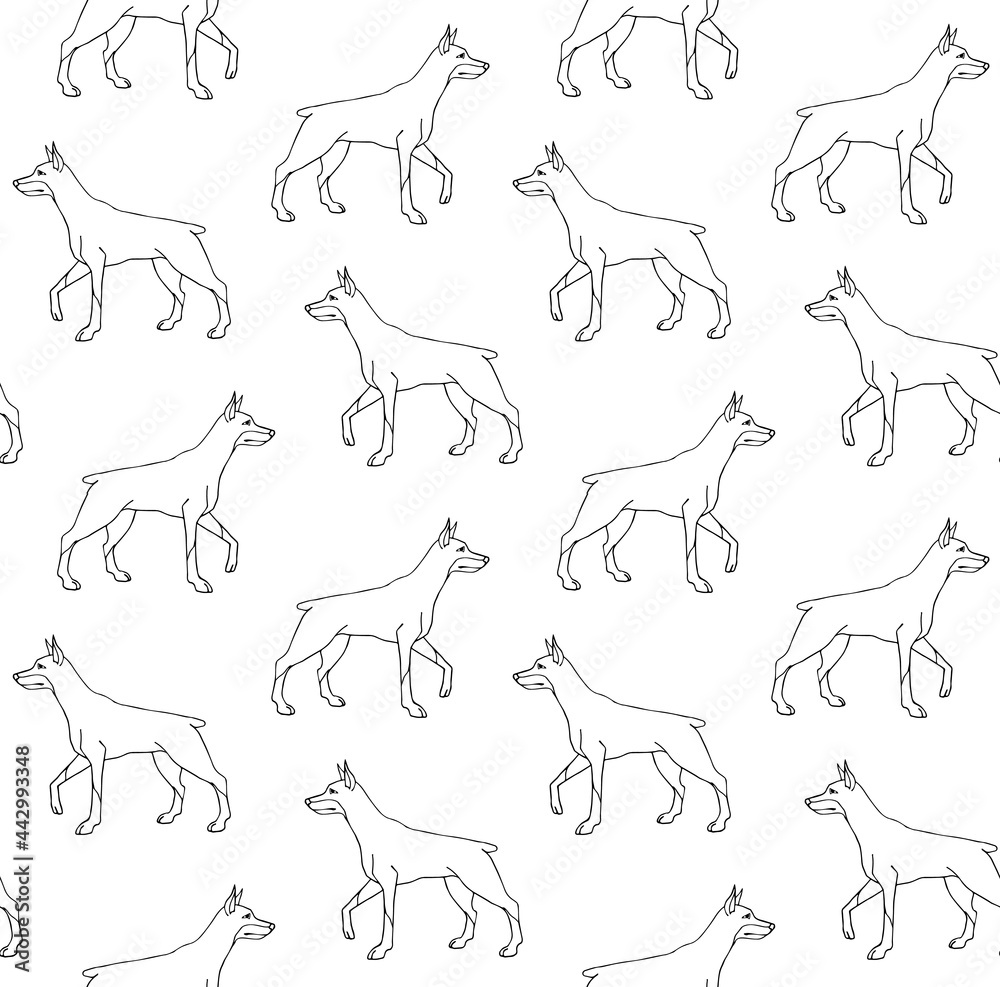 Canvas Prints Vector seamless pattern of hand drawn doodle sketch doberman dog isolated on white background