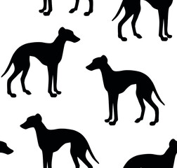 Vector seamless pattern of hand drawn Italian greyhound dog silhouette isolated on white background