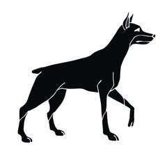 Fototapeta premium Vector hand drawn doodle sketch black doberman dog isolated on white background