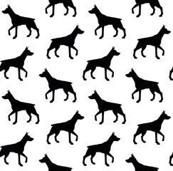 Vector seamless pattern of hand drawn doberman dog silhouette isolated on white background