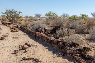  Versteinerter Wald, Namibia