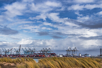Container terminal in the Rotterdam harbor