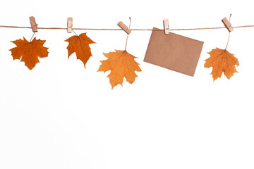 layout with autumn fallen maple leaves isolate, fall discounts and sales concept, blank letterhead for text