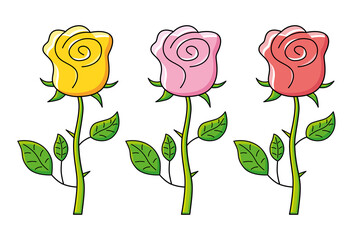 Yellow, pink and red rose flower isolated.