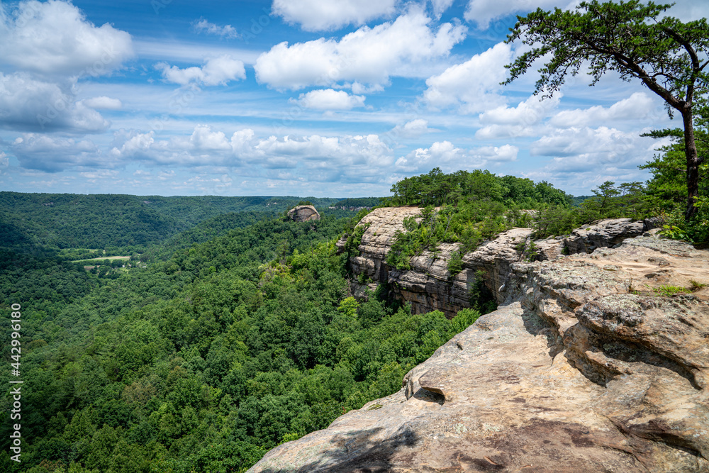 Wall mural red river gorge trail