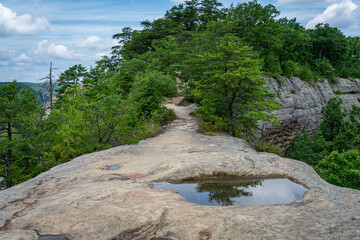 red river gorge trail