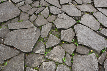 An old road or sidewalk lined with uneven stones of different colors and shapes. Grass grows between the stones