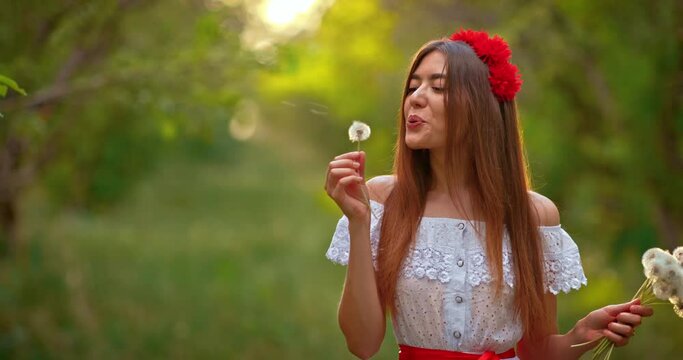 Portrait, beautiful woman blowing on a dandelion, parachutes are flying. Pretty young woman holding a bouquet of dandelions in her hands, walking in the park. 4k, ProRes