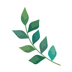 Fototapeta na wymiar Plant leaf icon